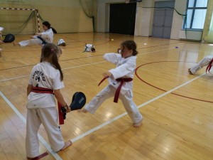 Taekwondo Toruń, Chełmża, Działdowo, Nidzica, Mława (39) 